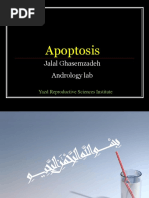 Apoptosis PDF