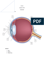 NC 116 Exercise 2-EYES Assessment 1. Label The Following Parts