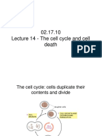 02.17.10 Lecture 14 - The Cell Cycle and Cell Death