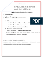 Studiul ind. nr. 2.docx