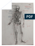 Erickson Garcia - Skeletal System Lab Activity 3