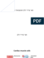 מצגת 4