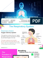 Group 3 - Respiratory System