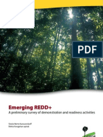 Emerging REDD