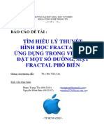 Báo cáo fractal.pdf