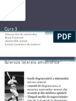 Curs 3 Patologia Medulara 2 PDF