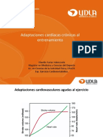 Adaptaciones Cardiacas Cronicas Al Entrenamiento