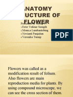 Anatomy Structure of Flower