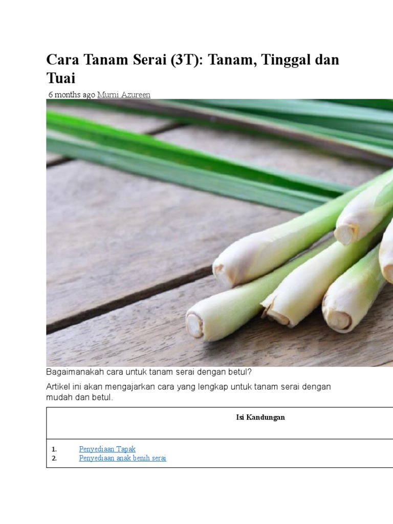 Cara Tanam Serai Pdf