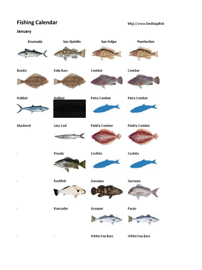 Fishing Calendar _ Calendario de Pesca Tuna Edible Fish
