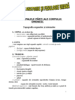 110604620-Principalele-Parti-Ale-Corpului-Omenesc-19-10