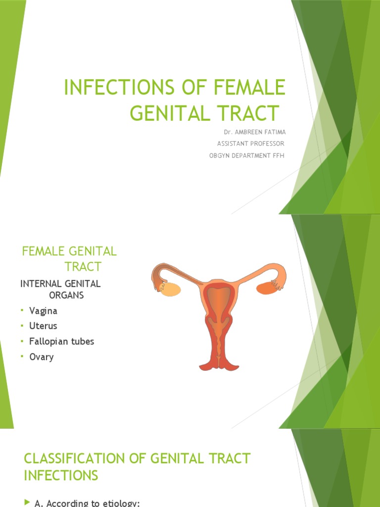 Infections of the Female Genital Tract | PDF | Mammal Female ...