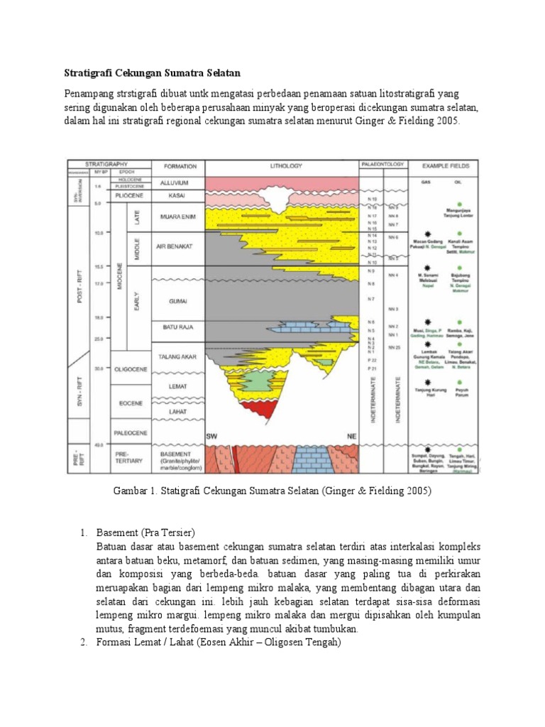 Stratigrafi Cekungan Sumatra Selatan | PDF