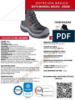 FT 209580 Bota Mundial Grabada