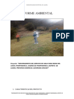 Informe Ambiental