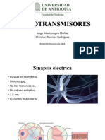 Neurotransmisores