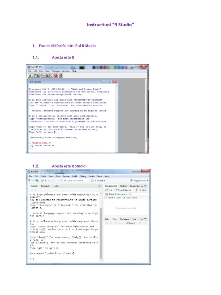 Instructiuni de Utilizare R Studio | PDF