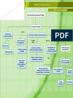 Importancia Del Proceso de Pruebas Eddx PDF