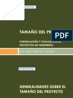 N° 11 - Tamaño Del Proyecto PDF