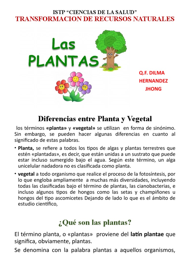 plant of time A Time to Plant: Southern-Style Garden Living  Lore and Lea