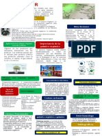 Infografia 3