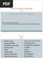 The Urinary System: V Cc8Suv2Suay&List Pl3Nydhncrnncbhhdm-8C9Nowtlfyhtbpk&Index 8