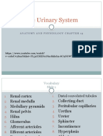 The Urinary System: V Cc8Suv2Suay&List Pl3Nydhncrnncbhhdm-8C9Nowtlfyhtbpk&Index 8