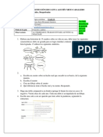 6a CASTELLANO PDF