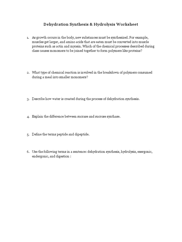 Dehydration Syn Hydrolysis Worksheet PDF