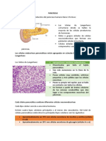 PANCREAS