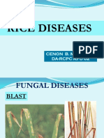 Rice Diseases 2 PDF