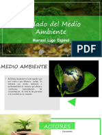 Actividad 2 Mod 7 - Cuidado Del Medio Ambiente