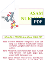 Asam Nukleat