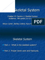 Skeletal System