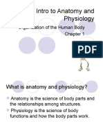 Intro To Anatomy and Physiology