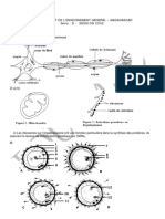 SVT D2002 Cor PDF