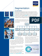 Nivia Segementation