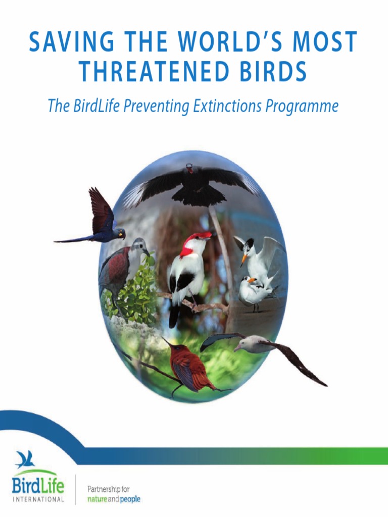 Saving Threatened Birds Lowres PDF | PDF | Endangered Species | Extinction