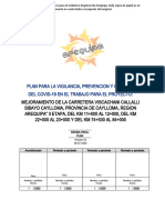 Plan COVID-19 PROYECTO VISCACHANI