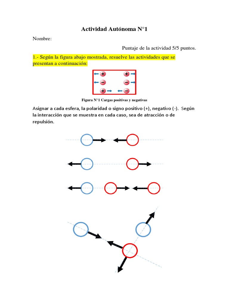 Cargas eléctricas y sus interacciones PDF