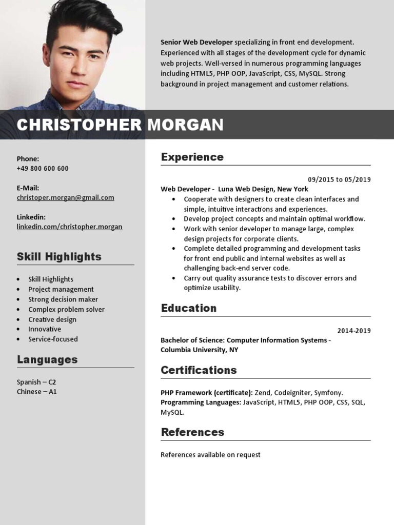 Senior Web Developer Profile: Skills & Experience | PDF
