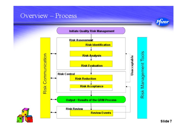 QRM Process: Output and Results Overview | PDF | Finance & Money Management