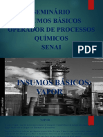 Vapor e caldeiras de processo químico