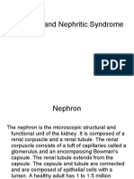 nephrotic and nephritic_syndrome