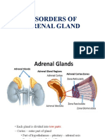 adrenal.pptx