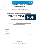 Model Raport Proiect de An BTD 2020