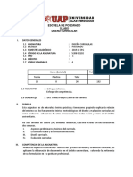 Silabo.pdf