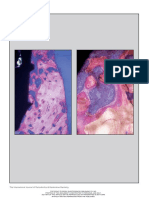 Peri-Implant Bone Reaction to Immediate, Early and Delayed Orthodontic Loading in Humans.pdf