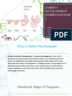 Embryo Development (Embryogenesis)