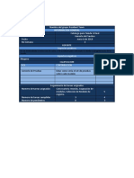 Plantilla de Reporte de Gerente de PRUEBA2